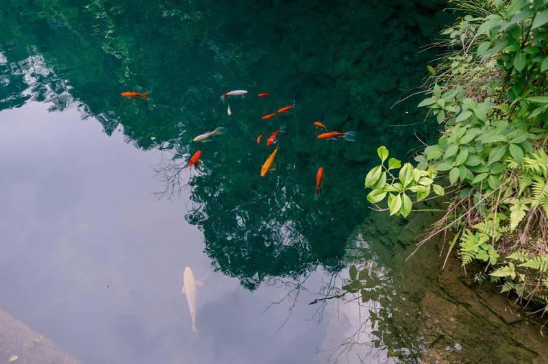 立春节气,有钱没钱记得“吃4样,做3事”,遵循老传统,喜迎新春