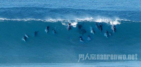 堪称豪华SUV领域黑马，问界M9以前沿科技实力加码
